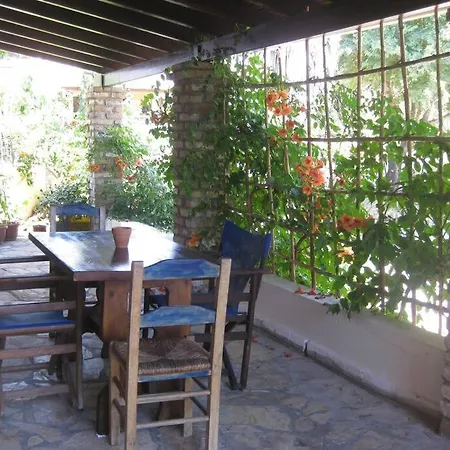 Old In Town * Alepou