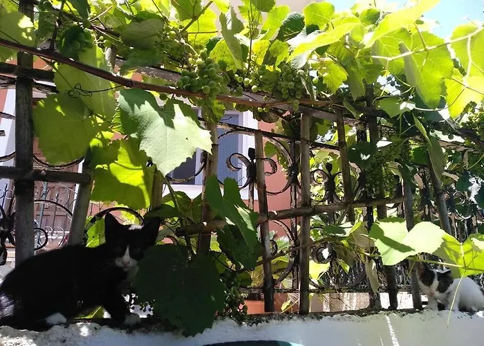 Prázdninový dům Old In Town