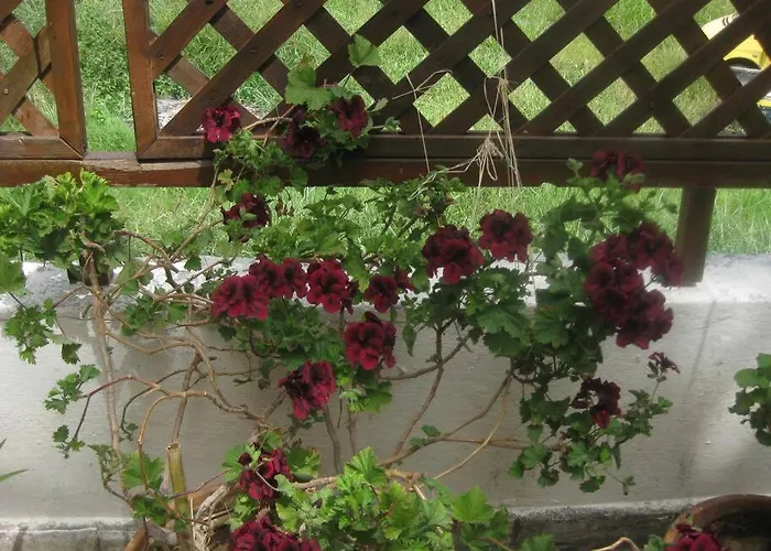 Old In Town Prázdninový dům Alepou