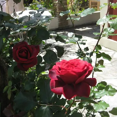 Holiday home Old In Town *