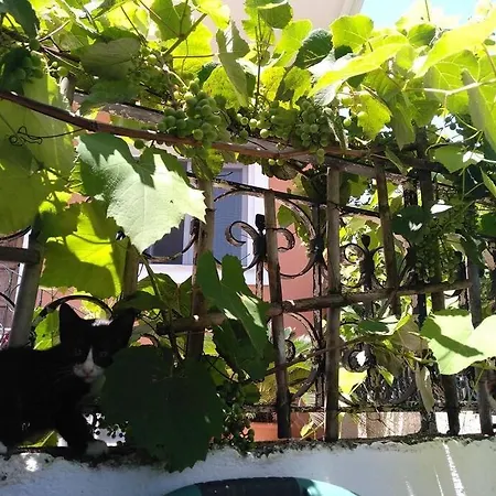 Holiday home Old In Town